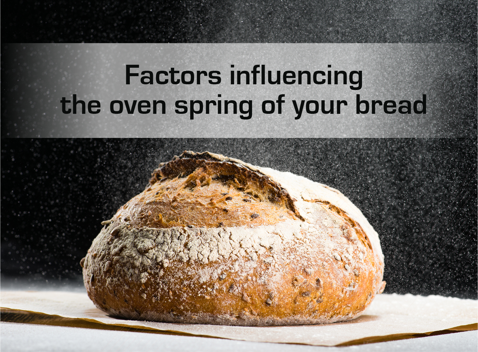 Factors Influencing The Oven Spring Of Your Bread
