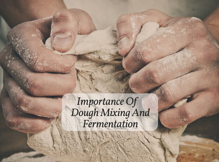 Importance Of Dough Mixing And Fermentation