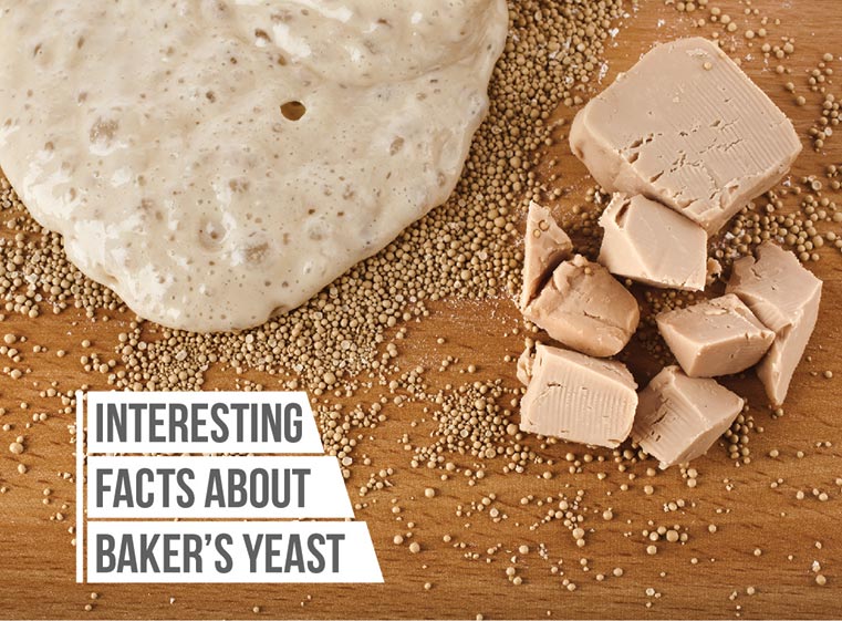 Interesting Facts About Baker's Yeast