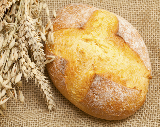 Corn Bread Mix - Manufacturer & Exporter of Corn Bread Premix