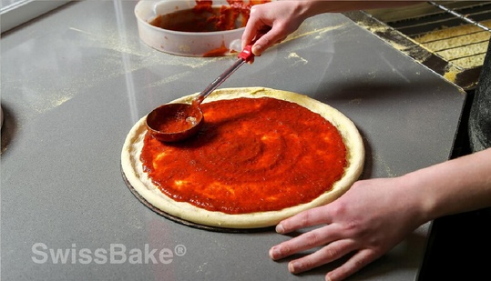 What Is An Italian Sugo Powder And The Benefits Of Sugo Powder For Professionals ?