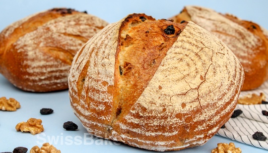 Walnut Raisin Sourdough bread Recipe