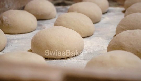 Dough Improvers vs Dough Conditioners: Are They the Same?